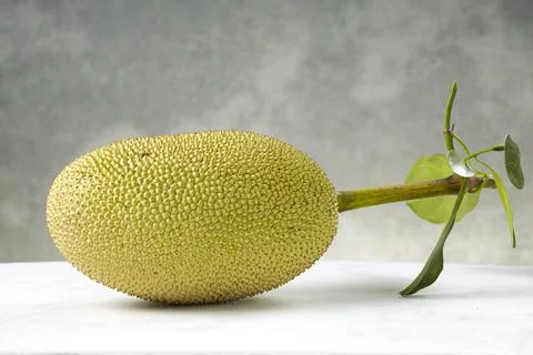 Jackfruit Stock Photos