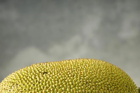 Jackfruit Stock Photos