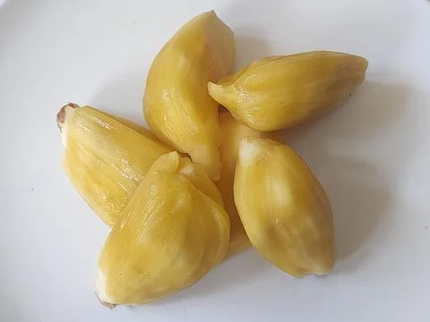 Jackfruit Foto stock