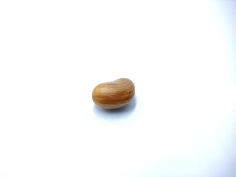 Jackfruit seed Stock Photos