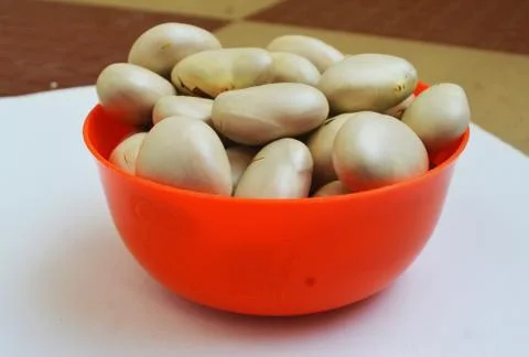 Jackfruit seed view4 库存照片
