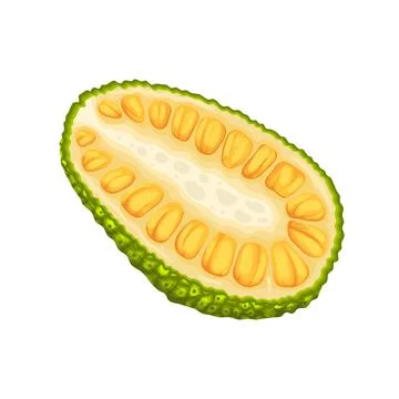 Jackfruit slice cut cartoon vector illustration イラスト素材