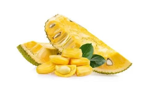 Jackfruit slice isolated on white Stock Photos