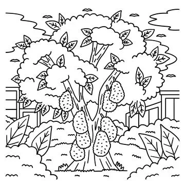 Jackfruit Tree Plant Coloring Page for Kids Stock Illustration
