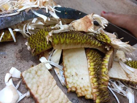 Jackfruit Vegetable peels Stock Photos