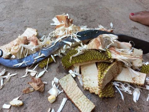 Jackfruit Vegetable peels Stock Photos
