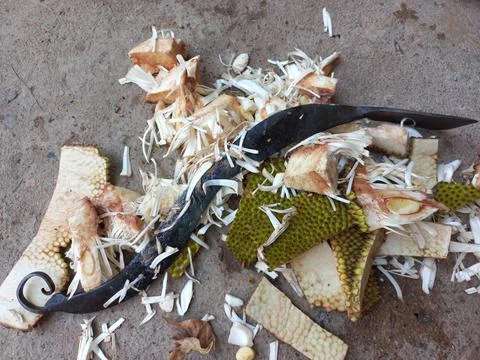 Jackfruit Vegetable peels Stock Photos