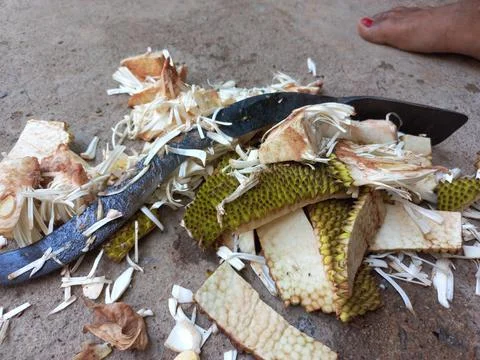 Jackfruit Vegetable peels Stock Photos