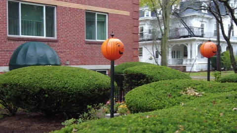 JACKO LANTERN DECORATION 스톡 동영상 190031816