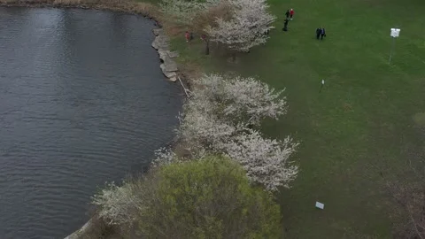 Jackson Park Cherry Blossoms Vídeos de archivo 193905864