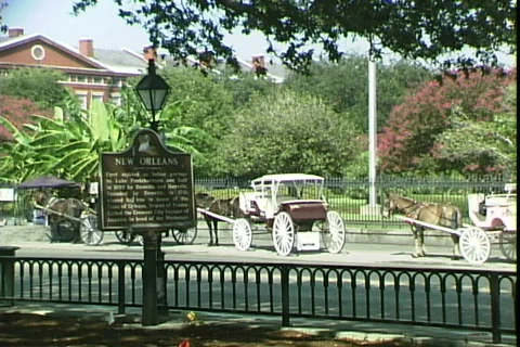 Jackson Square Carriages Stock Footage 818203