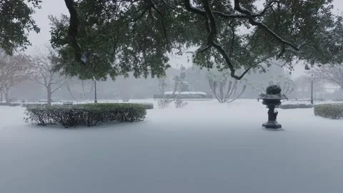 Jackson Square Snowfall and Blizzard Aerial Stock Footage 330877495