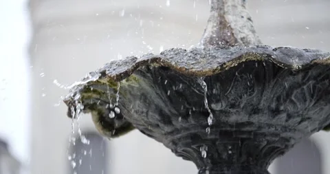 Jackson Square, Sparrows in a Fountain Stock Footage 268760429