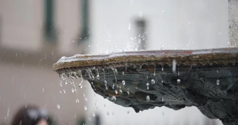 Jackson Square, Sparrows in a Fountain Stock Footage 268760435