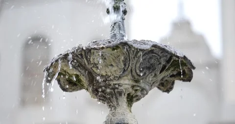 Jackson Square, Sparrows in a Fountain Stock Footage 268760437