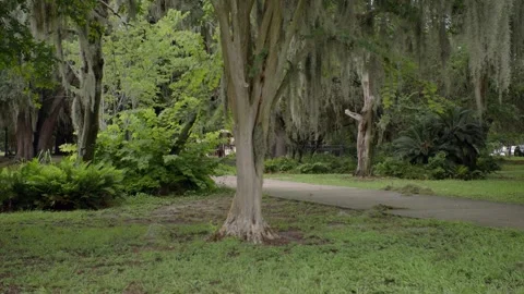 Jacksonville Riverside Park 2 Stock Footage 276984761