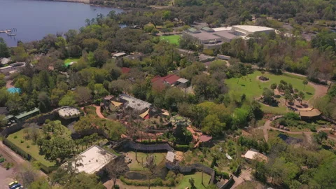 Jacksonville Zoo Stock Footage 155210177