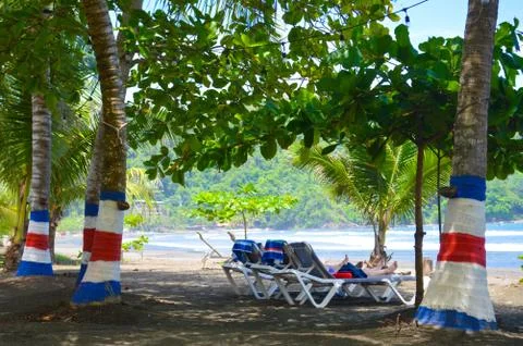 At Jaco Beach, Costa Rica. Costa Rica flag painted on palm trees. Stock Photos