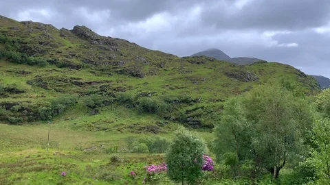 Jacobite Steam Train Stock Footage 115493053