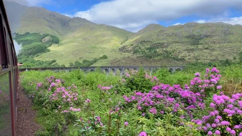 Jacobite Steam Train Stock Footage 115493328