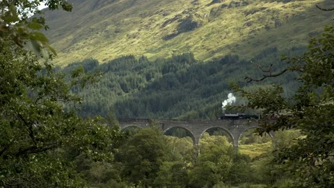 The Jacobite Steam Train passing over Glenfinnan Viaduct in Scotland 库存影片 346706149