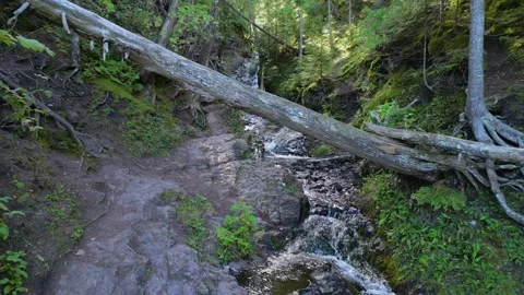 Jacob's Falls Michigan Stock Footage 256054046