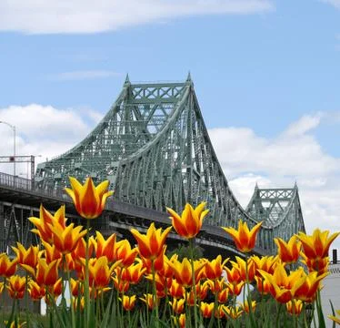 Jacques-Cartier bridge Stock Photos