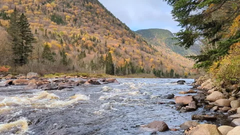 The Jacques-Cartier River in the Jacques Cartier National Park Video stock 257499726