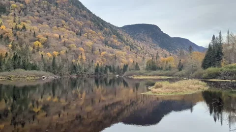 The Jacques-Cartier River in the Jacques Cartier National Park Video stock 258307155