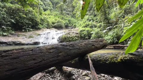 Jacuzzi Pool waterfall of Danum Valley. Found within the rainforest of Borneo Stock Footage 327549939