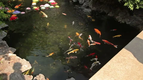 Jade Buddha Temple Shanghai Stock Footage 102529461