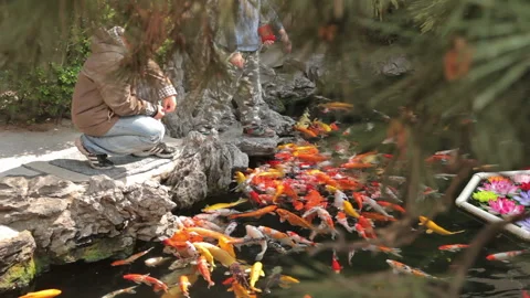 Jade Buddha Temple Shanghai Stock Footage 102530269