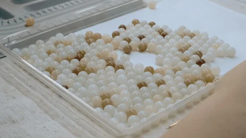 Jade nephritis nephrite processing greenstone factory making Stock Footage 116603540