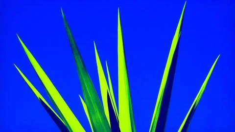 Jagged Green Stock Illustration