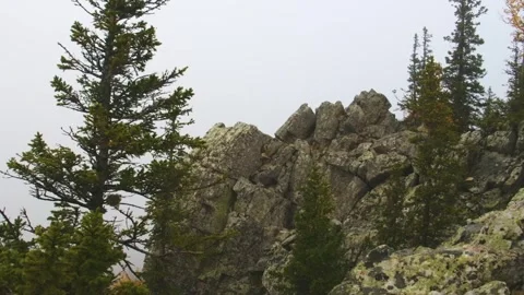 Jagged rock formations and pine trees in the Taganay National Park, Southern Ura Video stock 325450252