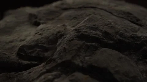 Jagged Stone with Visible Layers. Stock Footage 288044682