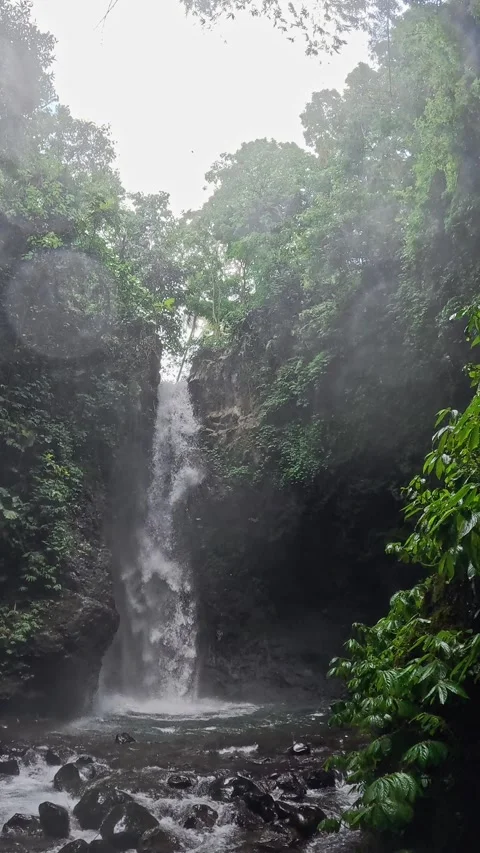 Jagir Waterfall Cascading into Jungle Pool, Banyuwangi, Vertical Video Vídeos de archivo 341765974