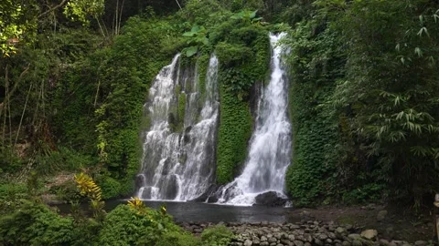 Jagir Waterfall: A Lush Forest Oasis in East Java, Indonesia Stock Footage 334001307
