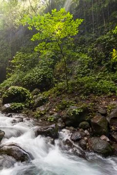 JAGIR WATERFALL Stock Photos