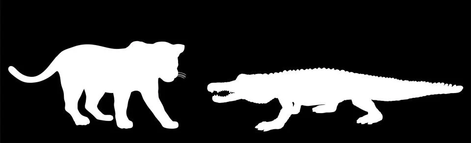 Jaguar attack alligator vector silhouette illustration isolated. Stock Illustration