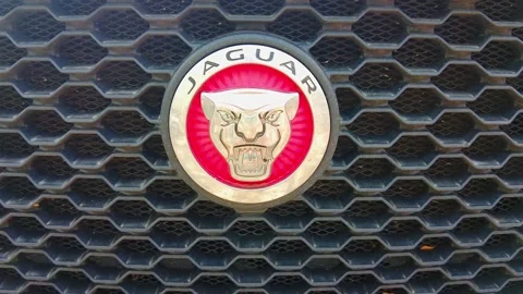 Jaguar car emblem seen up close on a vehicle grille in daylight Stock Footage 337125145