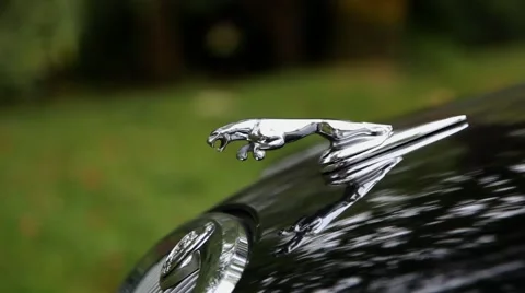 Jaguar emblem car bumper Vidéo 48698491