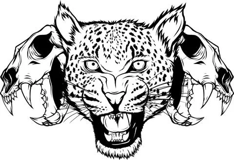 Jaguar head front view vector illustration in vintage detailed monochrome style Stock Illustration