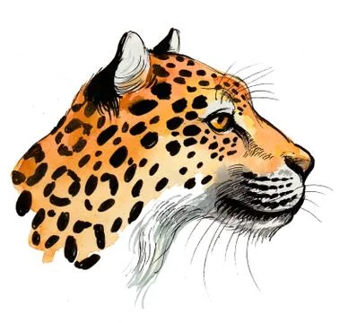 Jaguar head Stock Illustration