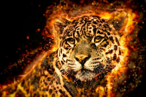 Jaguar illustration Stock Illustration