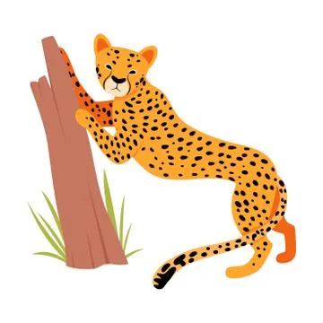 Jaguar near a tree trunk. Vector illustration on a white background. Stock Illustration