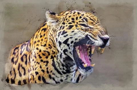Jaguar - Panthera onca attacking Stock Illustration