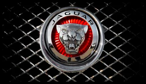 Jaguar Stock Photos