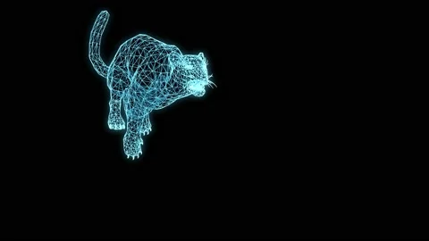 Jaguar Run Performance Hologram Stock Footage 156420005