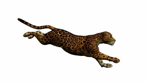 Jaguar running Stock Footage 941971